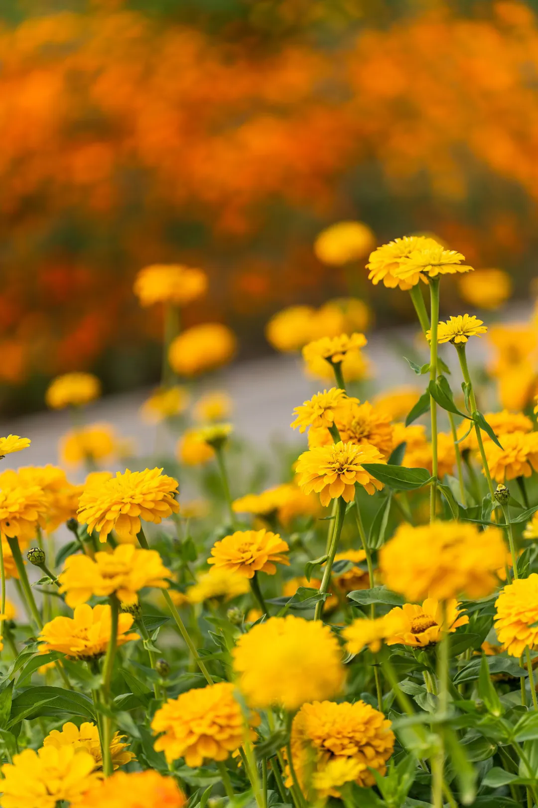 640.webp (2).png