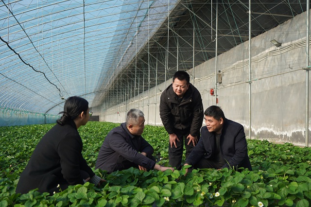 8e8fac46d48b7aafd224027d518ca45f_W020251222264059673786.jpeg 8e8fac46d48b7aafd224027d518ca45f_W020251222264059673786.jpeg